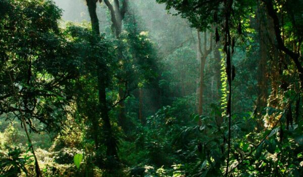 Uganda Adventure Safari