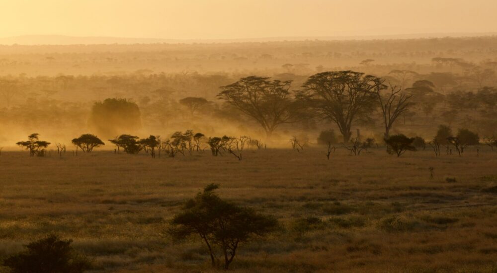 Uganda Safari Packages