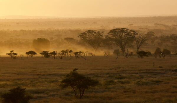 Uganda Safari Packages